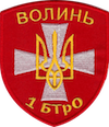 1-й окремий мотопіхотний батальйон «Волинь»